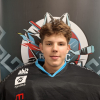 Fricis Pauls VĪLE
