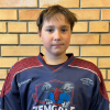 Gustavs Krišs POGULIS