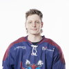 Haralds Rauls SLIŠĀNS
