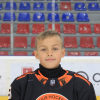 Henrijs KRIŠĀNS