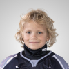 Jānis VĀRSBERGS APSĪTIS