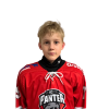 Karl Robert LIIVA