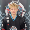 Kārlis Alberts ZVIEDRĪTIS