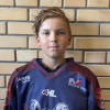 Kārlis PĻAVIŅŠ
