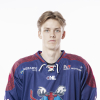 Kristers VĪTOLIŅŠ