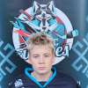 Luiss Lūsiņš