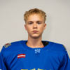 Magnuss KALNIŅŠ