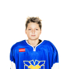 Martins TELUŠKINS
