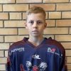 Miķelis BIRZIŅŠ