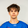 Mikus LEPERIS