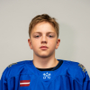 Raimonds Strongins