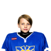 Rauls DZENIS