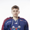Renarts Džerods ALKSNIS