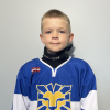 Rendijs LASMANIS
