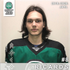 Ričards BEŅISLAVSKIS