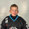 Ričards VALTERS