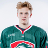 Roberts KRIEVIŅŠ