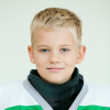 Svens DAMBERGS