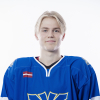 Valters NIEDRĀJS