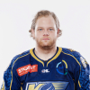 Verners FRICBERGS