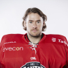 Villem Henrik KOITMAA