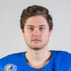 Vitalii ANDREIKIV