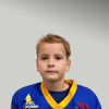 Vladimirs HOHLOVS