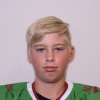Vladislavs TRETJAKOVS