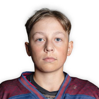 Adrians Matīss Gudļevskis