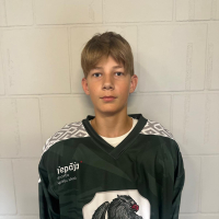 Aleksandrs Artjuhovs