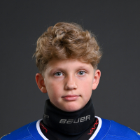 Artis Zemgus Spīgulis