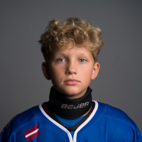 Artis Zemgus Spīgulis