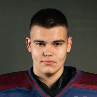 Arturs Aleksandrs Griķis