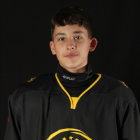 Artūrs Jānis Rozentāls