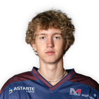 Dainis Nikolajevs