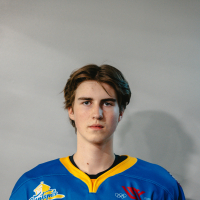 Daniels Siromolotovs