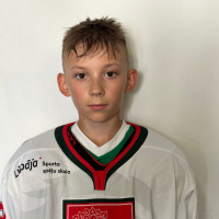 Dāvids Drobiševskis