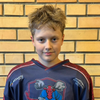 Dāvis Veršinskis