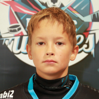 Demids Širokovs