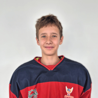 Demids Vibornovs