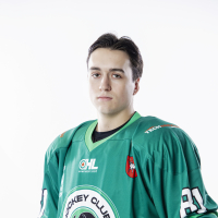 Denys Honcharenko