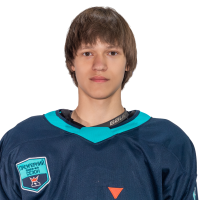 Denys Plesovskykh