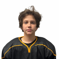 Dmitrii Gavrikov