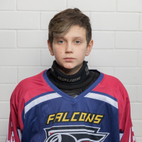 Dmitrii Gavrikov