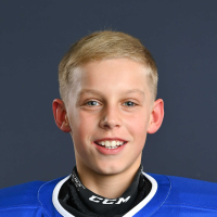 Domeniks Koļesņikovs