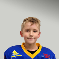 Edvards Folkbergs