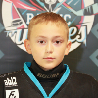 Edvīns Čerkovskis