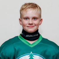 Ernests Auziņš