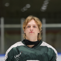 Henrijs Everts Raudziņš