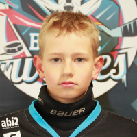 Ivo Aleksandrs Razums